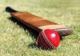 Cricket Game